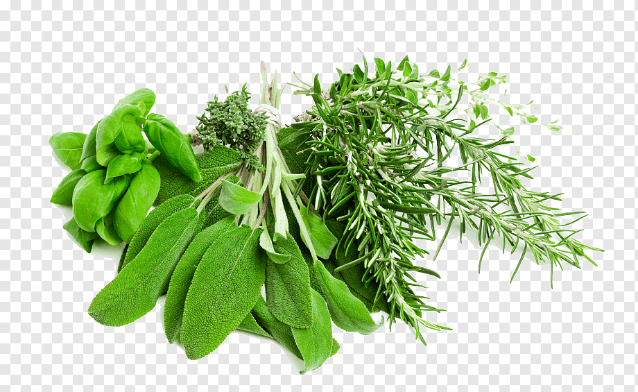 Fresh Herbs